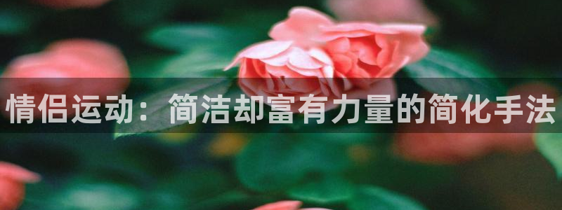 xc体育