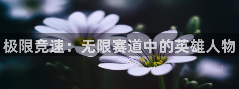 xc体育