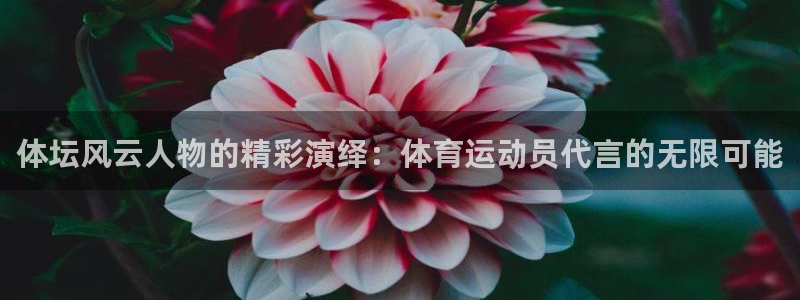xc体育app官方网站
