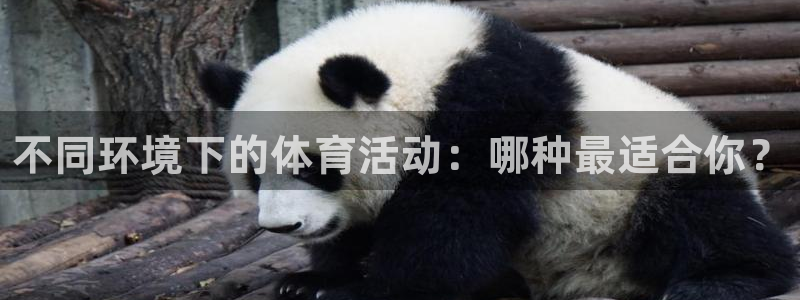 xc体育app官方网站