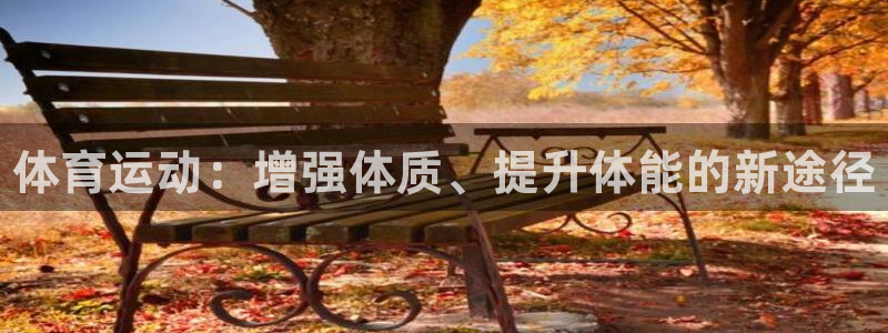 xc体育