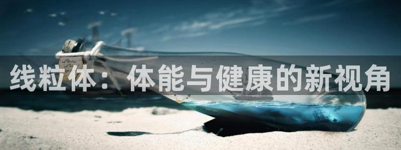 xc体育app官方网站
