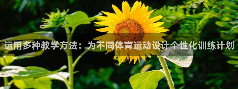 xc体育
