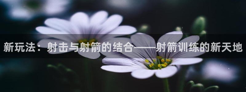 xc体育